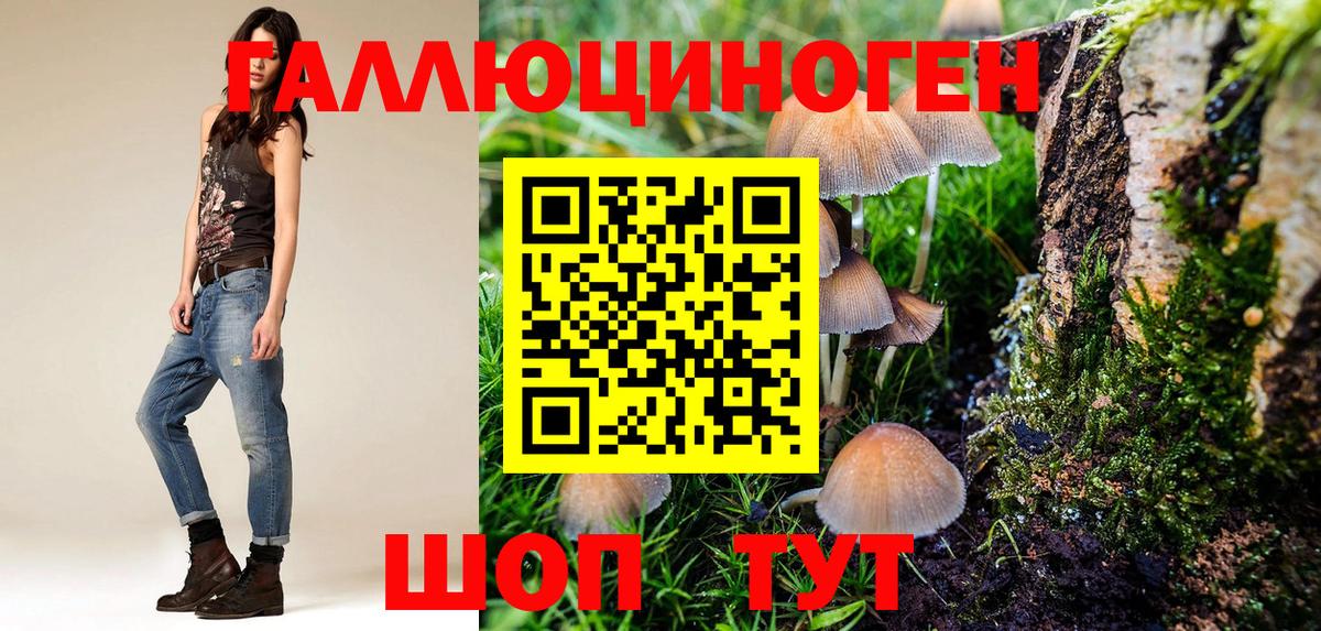 Ливны  Псилоцибиновые грибы ЛСД  Вход с VPN  Галлюциногенные грибы ЛСД 